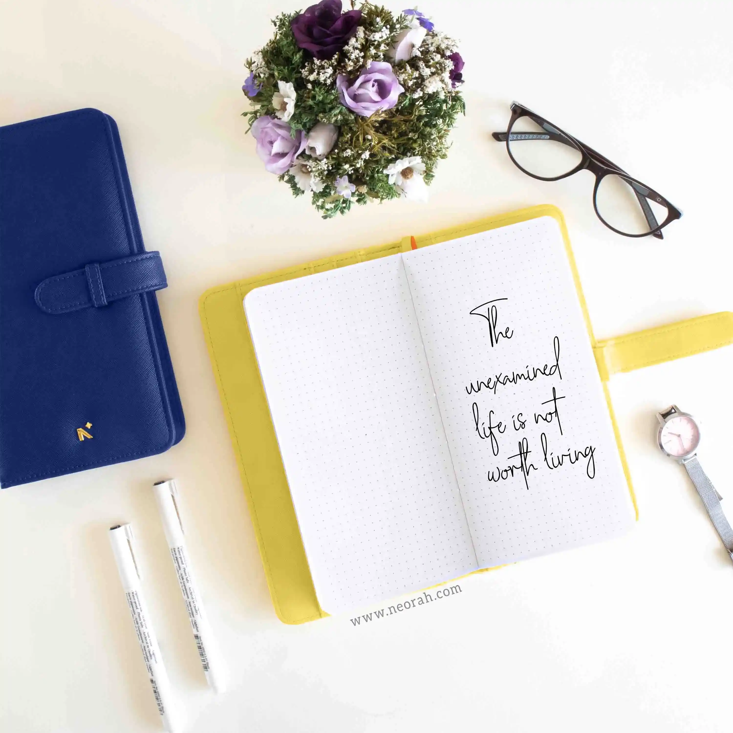 PETITE - REFILLABLE ORGANISER SLEEVE - LOOP - Image 225